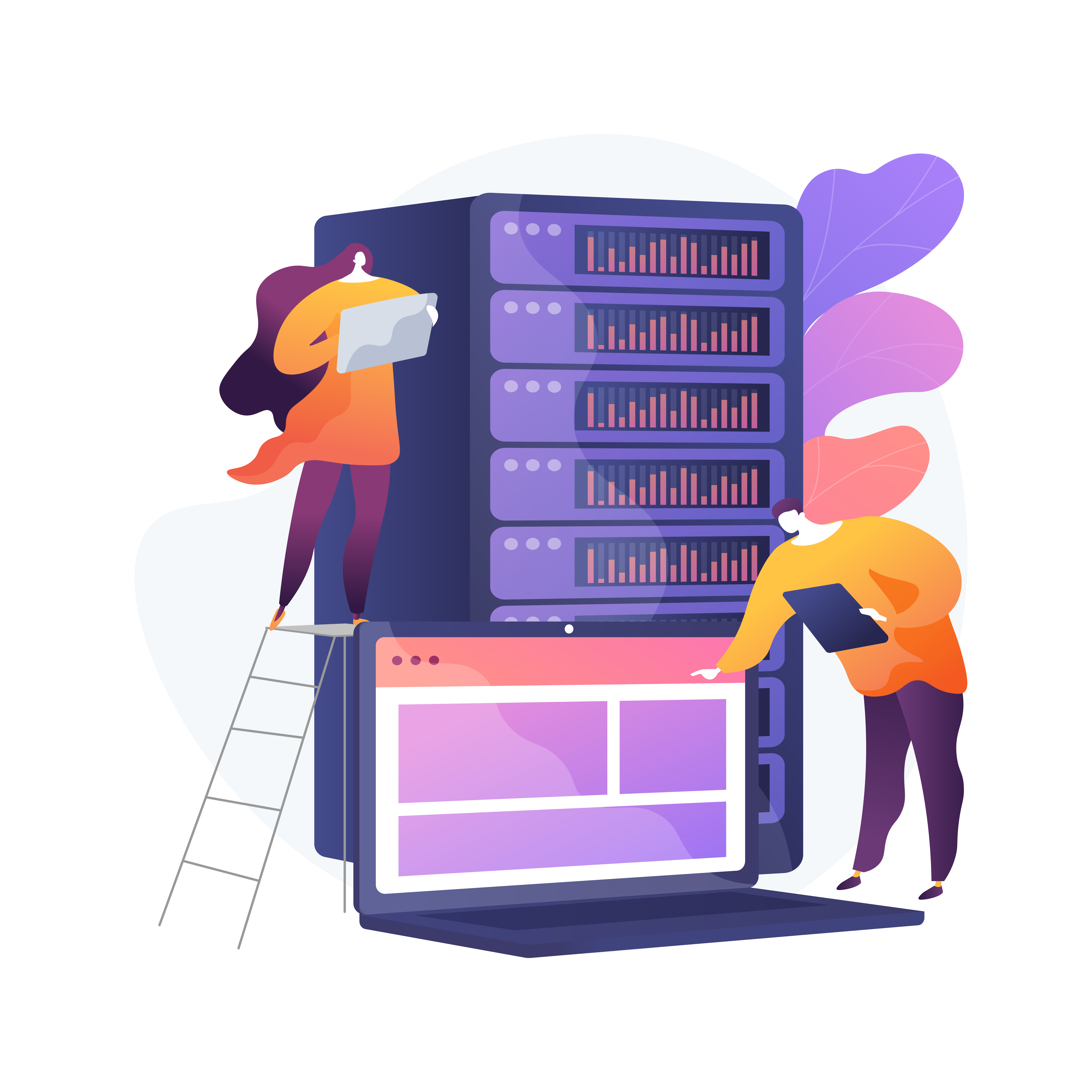 Dedicated Sunucu Görseli